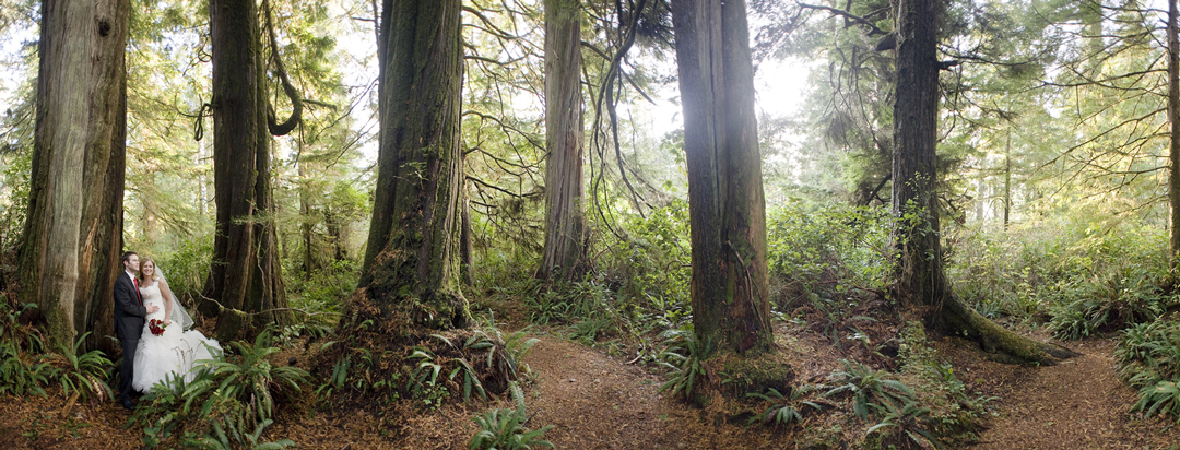 Aaron and Sarah Pedersen wedding in Tofino, British Columbia, 11/11/11